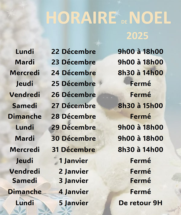 Horaires temps des fêtes 2025